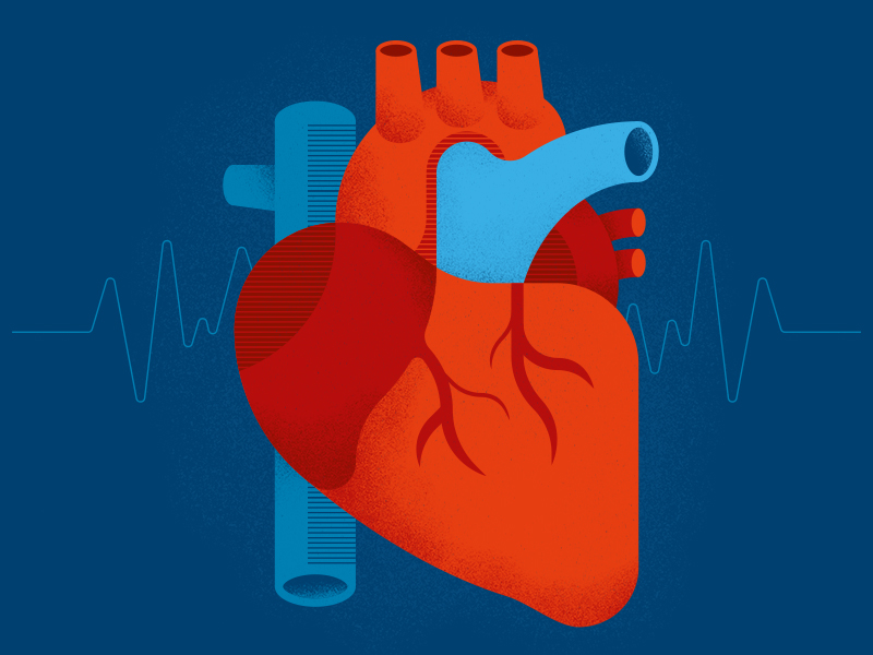 Weltherztag: Dossier zu Herzrhythmusstörungen