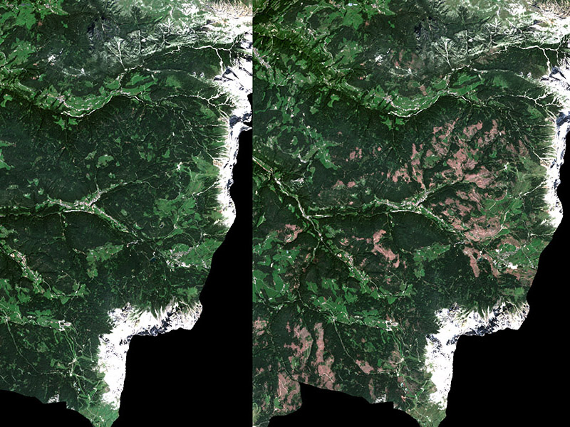 Ein Jahr danach: Satellitenbilder zeigen die Waldschäden nach dem Jahrhundertsturm