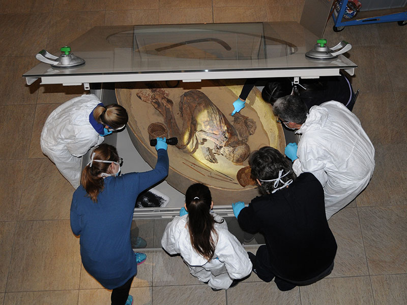 Mumien des Ägyptischen Museums in Turin in der Obhut von Südtiroler Experten