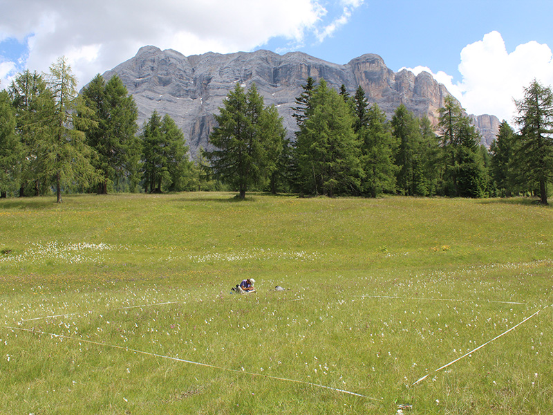 Biodiversitätsmonitoring Südtirol: Mehr als die Hälfte der Fauna schon erfasst