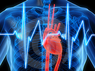 Gene für Herzrhythmusstörungen und plötzlichen Herztod entdeckt
